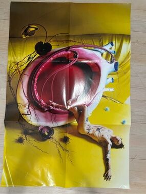 Harry styles Pink and yellow double sided poster